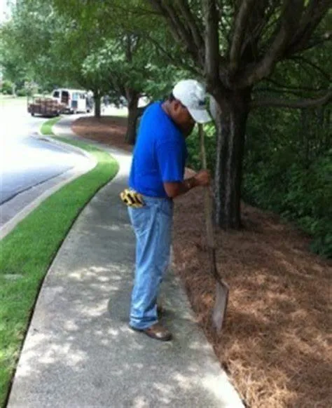 Top-rated outdoor landscaping for year-round maintenance across Loganville, GA - Professional Strawing Services
