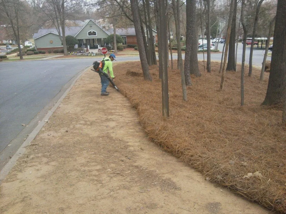 Trusted lawn care service experts serving Loganville, GA - Professional Strawing Services