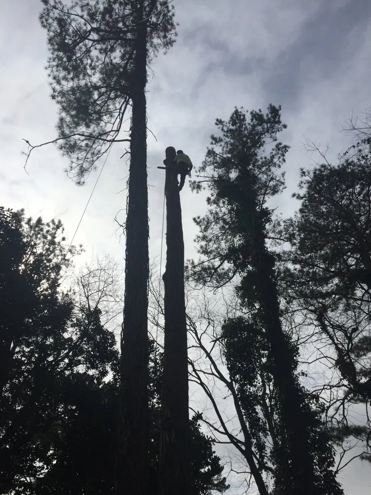 Local garden landscaping experts serving Loganville, GA - Professional Strawing Services