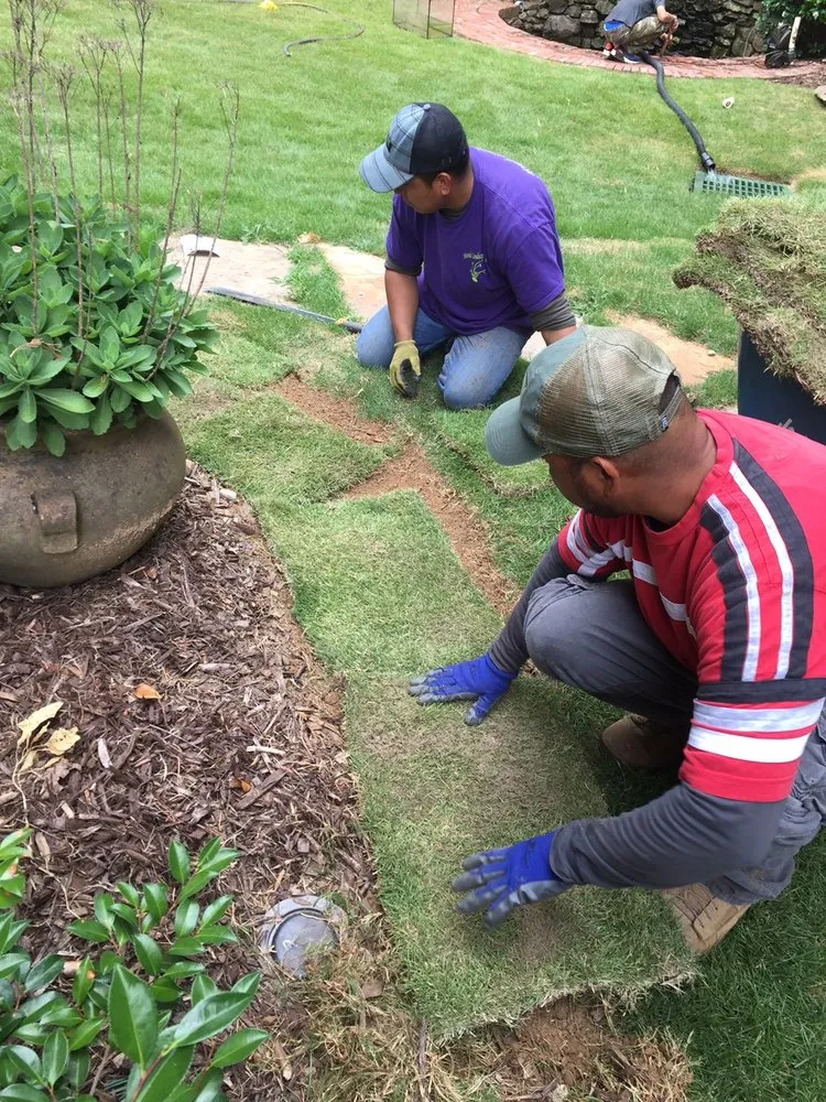 Affordable landscape installation experts serving Loganville, GA - Professional Strawing Services