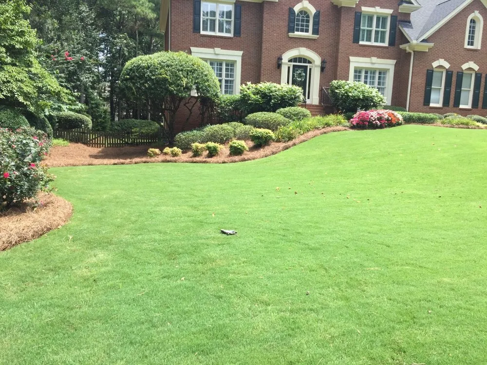 Affordable landscaping services in Loganville, GA - Professional Strawing Services