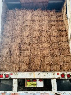 Professional Strawing Services Logo