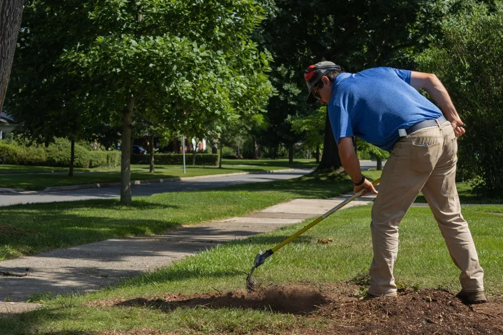 Expert garden landscaping for homes across Harrisburg, PA - Professional Stump Removal of Harrisburg