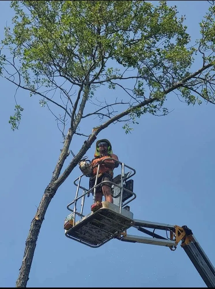 Expert lawn mowing service in Dayton, OH - Professional Touch