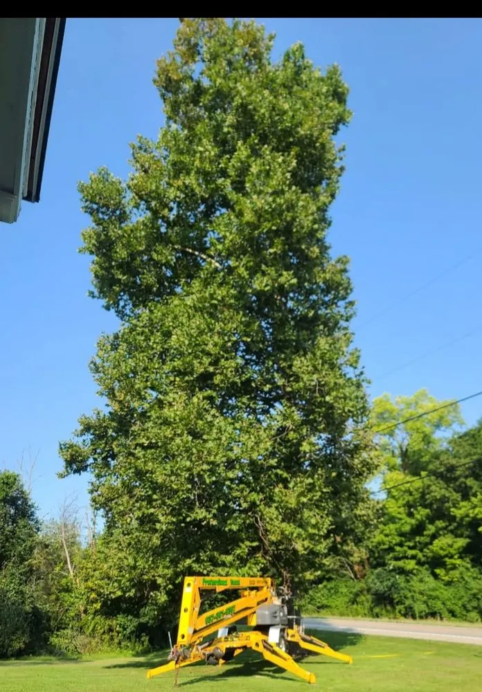 Affordable lawn care service for outdoor upgrades across Dayton, OH - Professional Touch