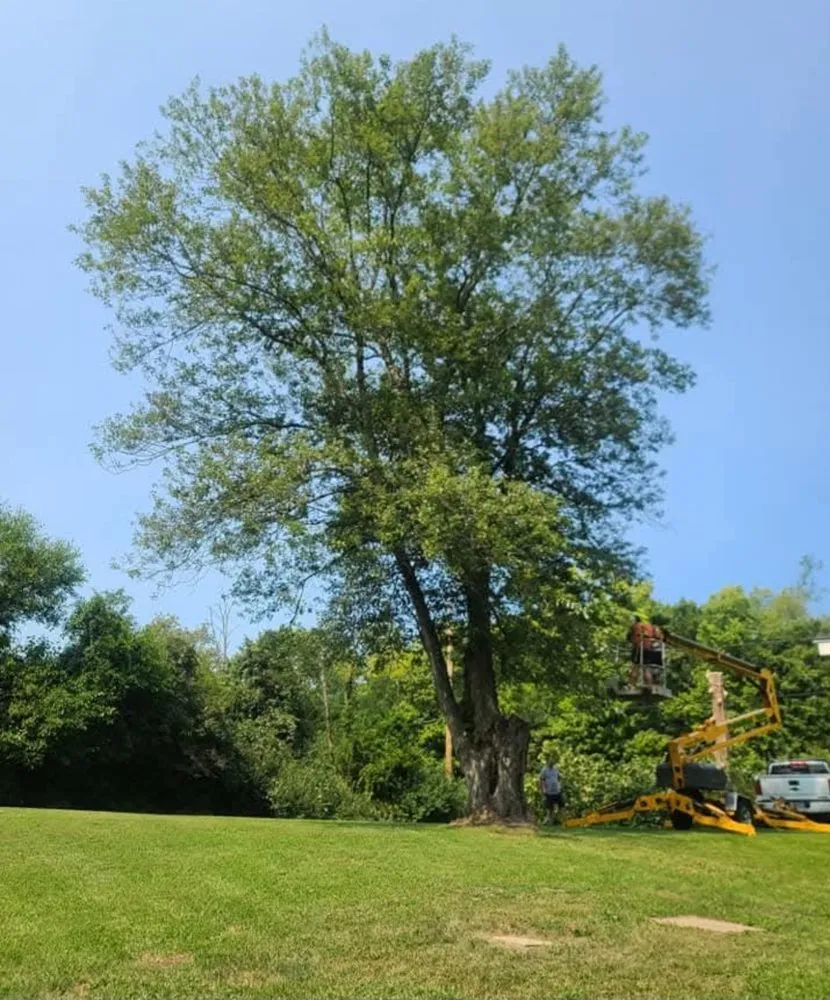 Trusted landscape installation experts serving Dayton, OH - Professional Touch