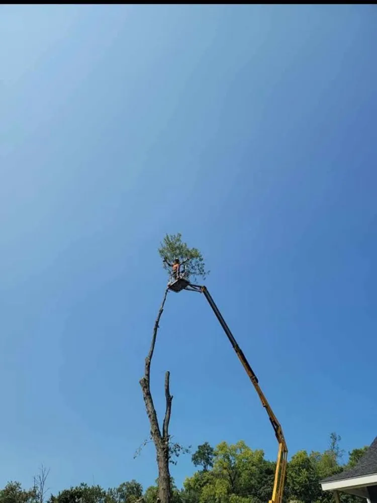 Affordable lawn care service experts serving Dayton, OH - Professional Touch