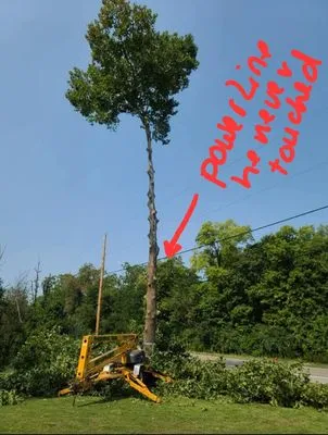 Professional Touch Logo