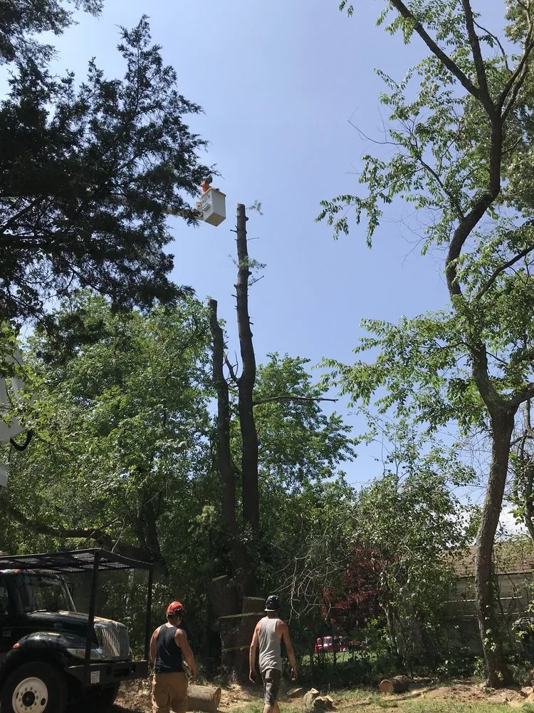 Affordable lawn mowing service in East Freetown, MA - Professional Tree & Landscape Construction