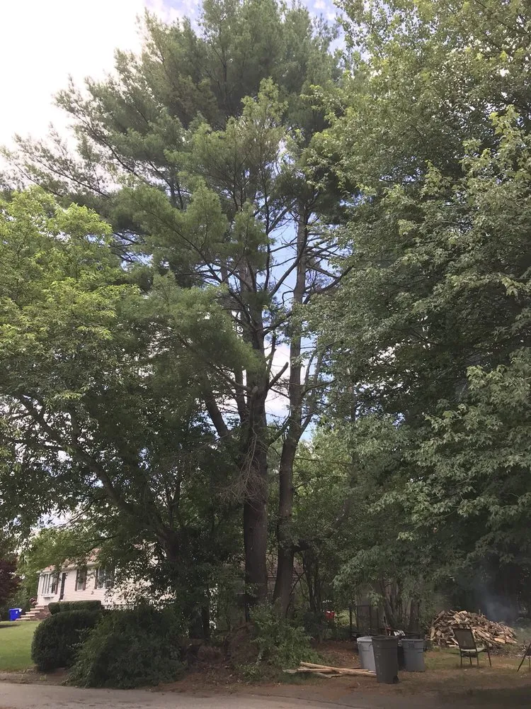 Expert landscape installation for outdoor upgrades across East Freetown, MA - Professional Tree & Landscape Construction
