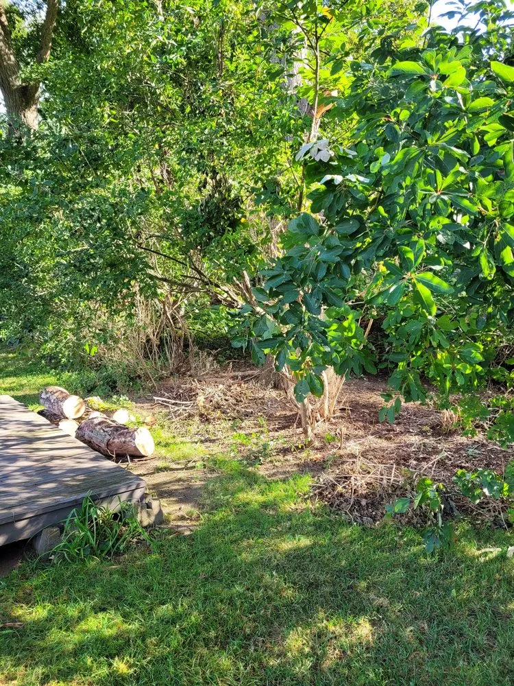 Reliable landscape design experts serving Niles, MI - Professional Tree and Landscaping