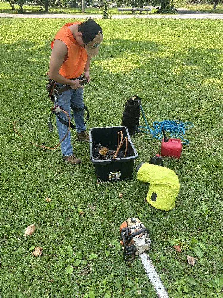 Local yard maintenance in Chattanooga, TN by Professional Tree Service