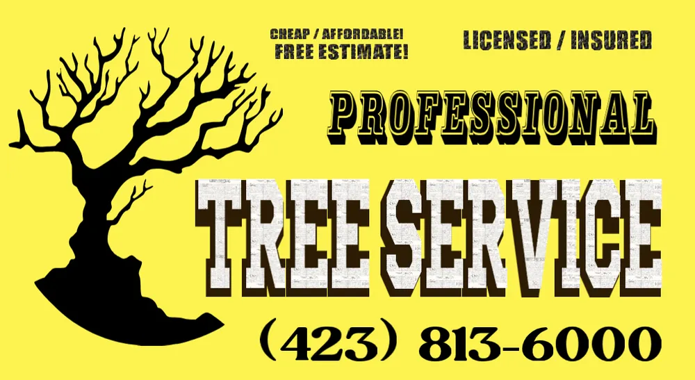 Trusted yard maintenance in Chattanooga, TN - Professional Tree Service