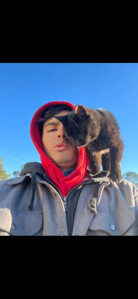 Professional yard maintenance for outdoor upgrades across Chattanooga, TN - Professional Tree Service