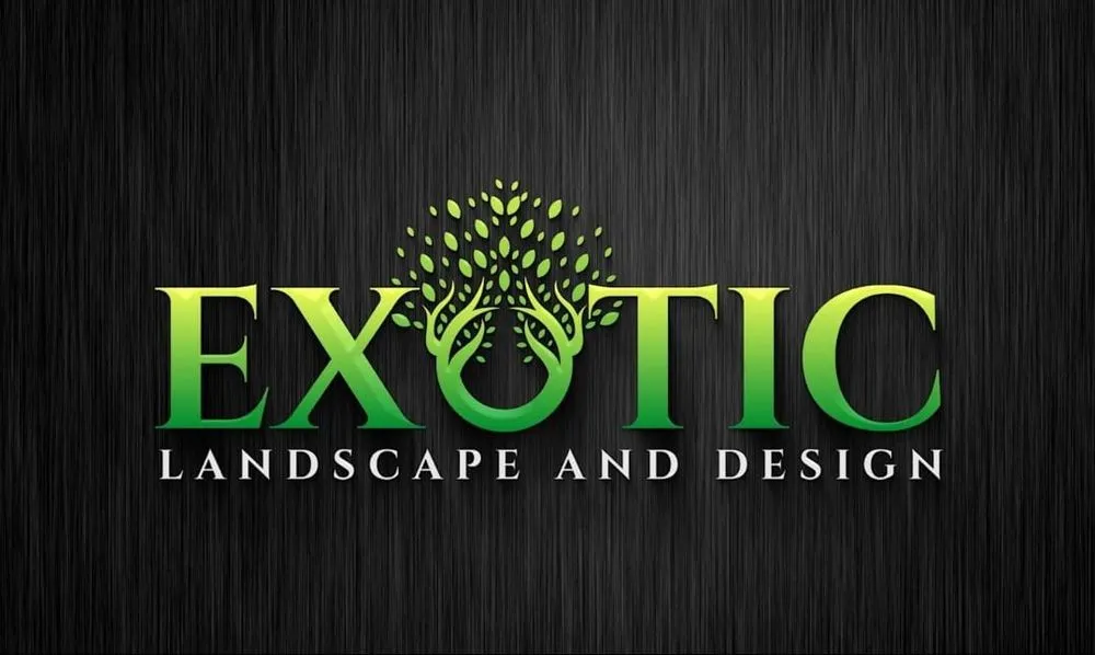 Affordable outdoor landscaping in Sunland, CA by Professional Tree Service
