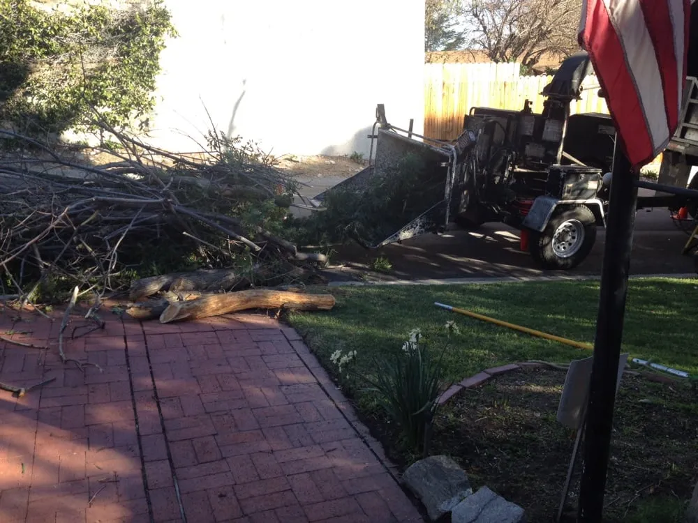 Affordable lawn mowing service for residential properties across Sunland, CA - Professional Tree Service