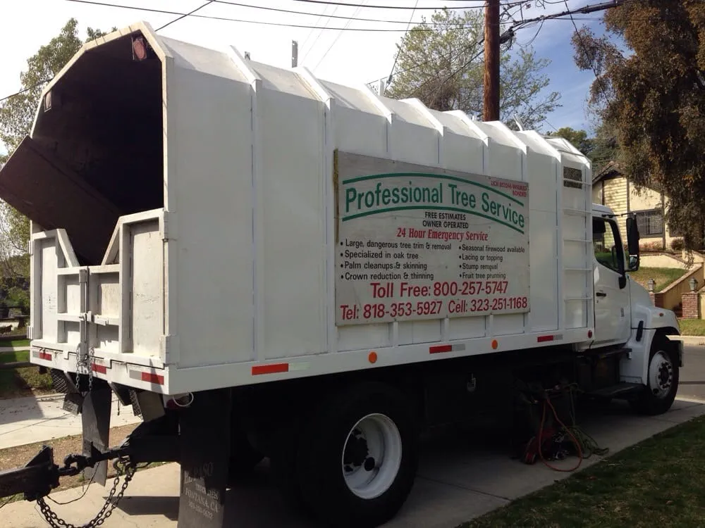 Affordable lawn mowing service in Sunland, CA by Professional Tree Service
