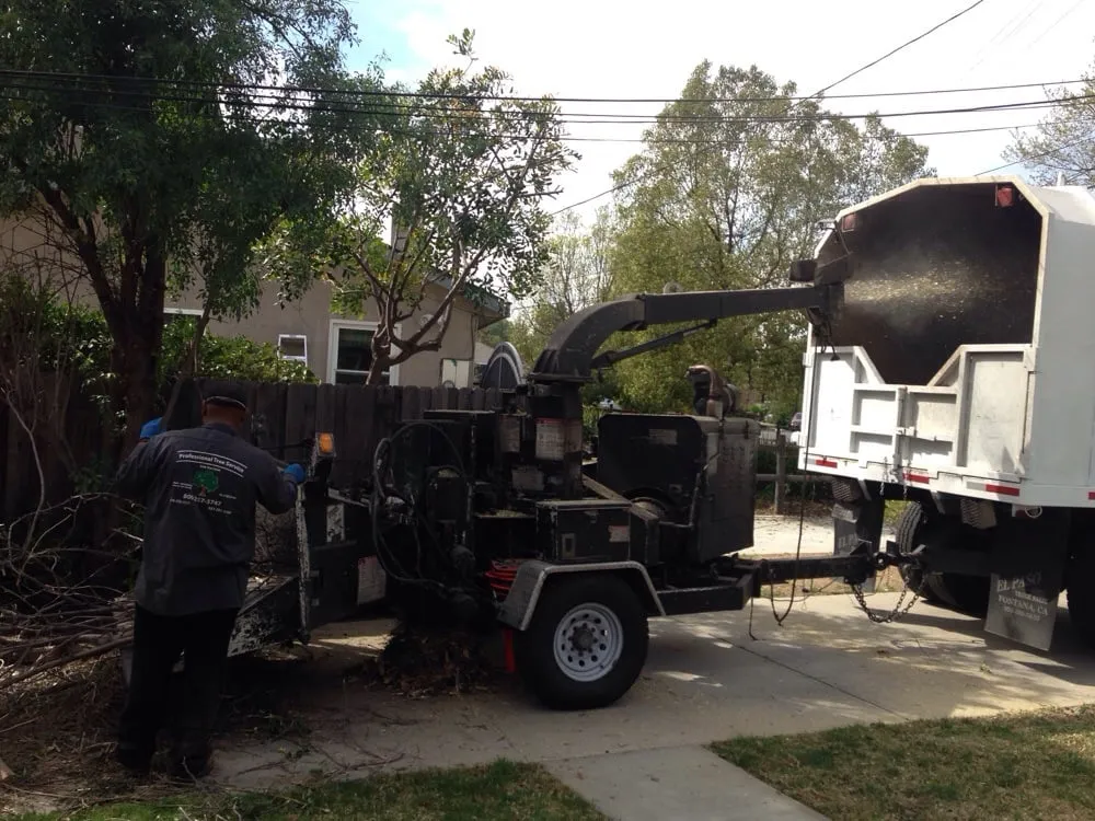 Reliable landscape design experts serving Sunland, CA - Professional Tree Service