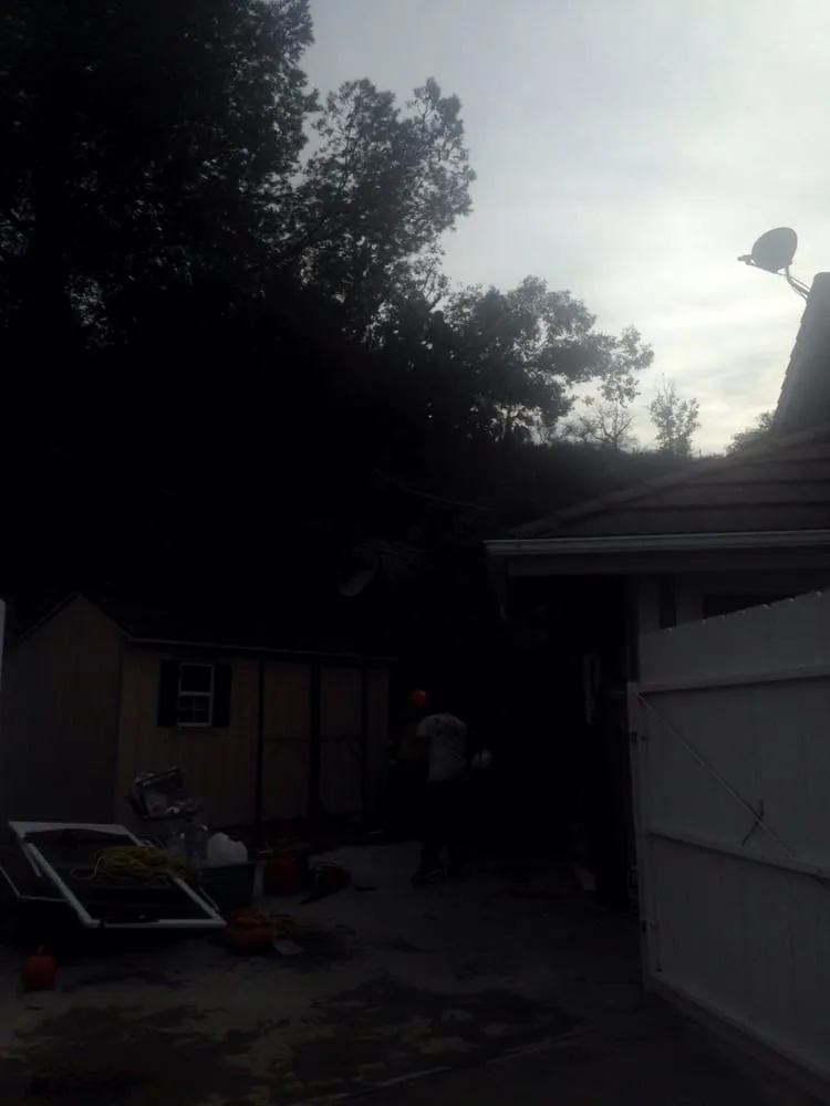 Expert lawn mowing service near you in Sunland, CA by Professional Tree Service