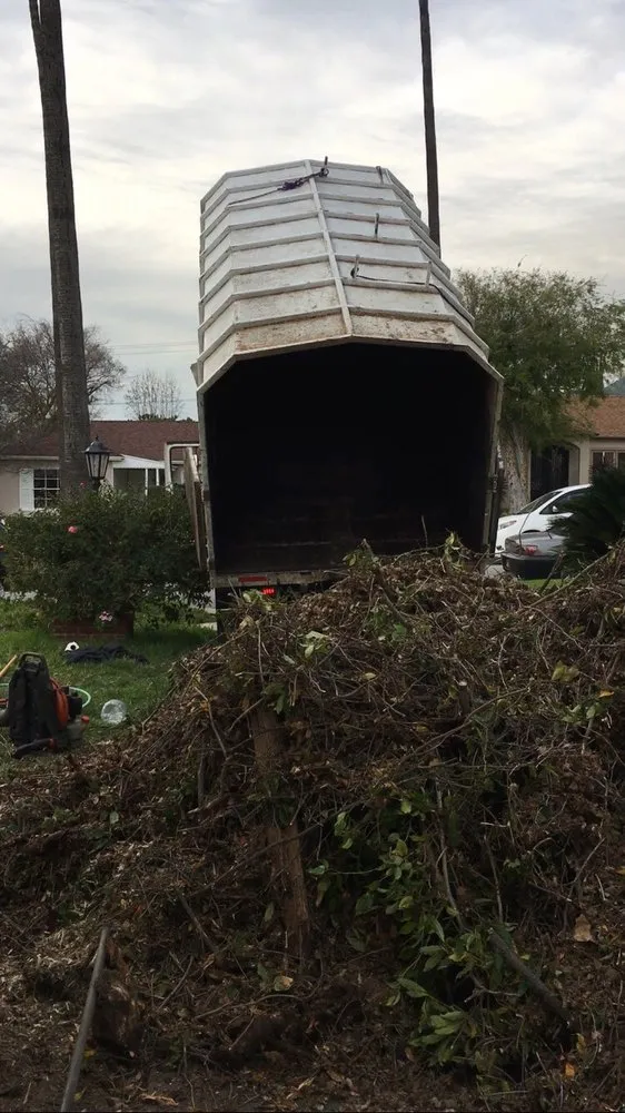 Trusted yard maintenance in Sunland, CA - Professional Tree Service