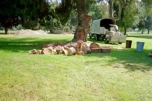 Affordable garden landscaping for year-round maintenance across Sunland, CA - Professional Tree Service