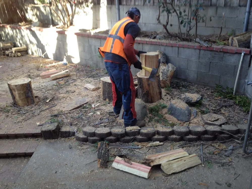 Reliable landscaping services in Sunland, CA - Professional Tree Service