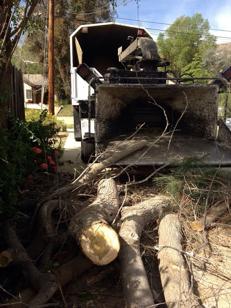 Top-rated landscape design in Sunland, CA by Professional Tree Service