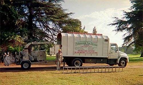 Top-rated yard maintenance experts serving Sunland, CA - Professional Tree Service