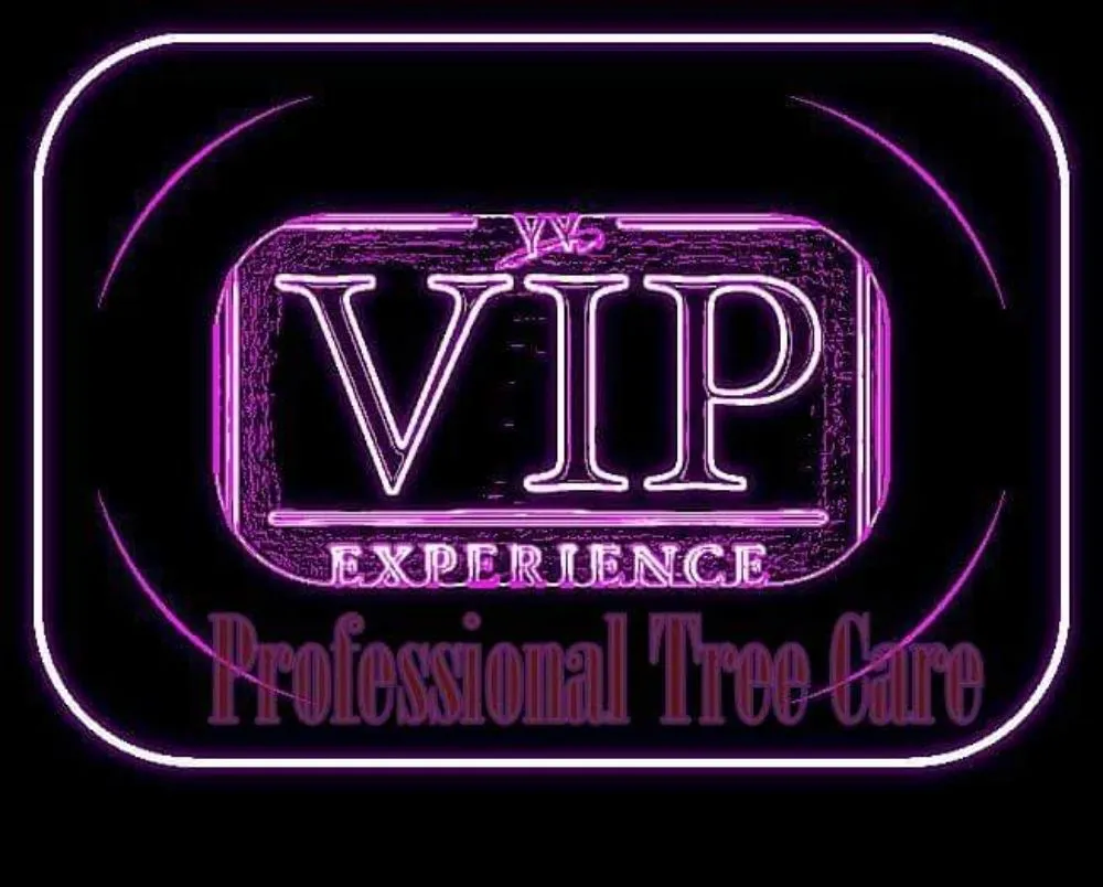Professional landscaping services experts serving Lewisville, TX - Professional Tree Services Iowa