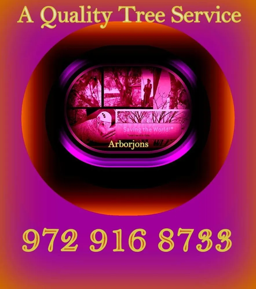 Top-rated residential landscaping in Lewisville, TX by Professional Tree Services Iowa