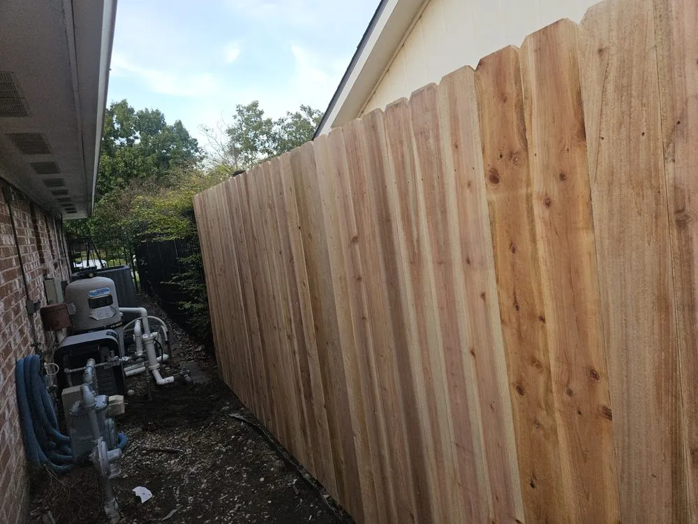 Affordable yard maintenance in Rosenberg, TX - Professional Tree Services