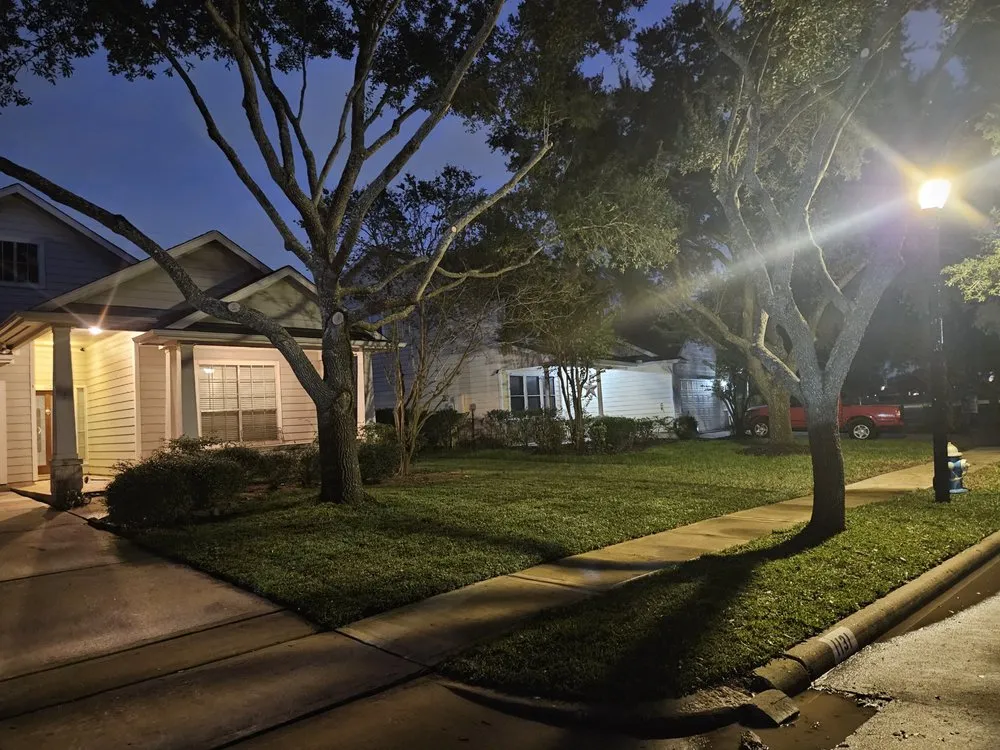 Professional landscaping services in Rosenberg, TX - Professional Tree Services