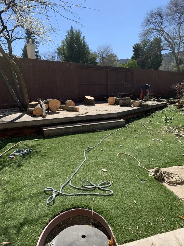 Reliable landscape design with custom design in Adairsville, GA by Professional Tree Trimming & Removal