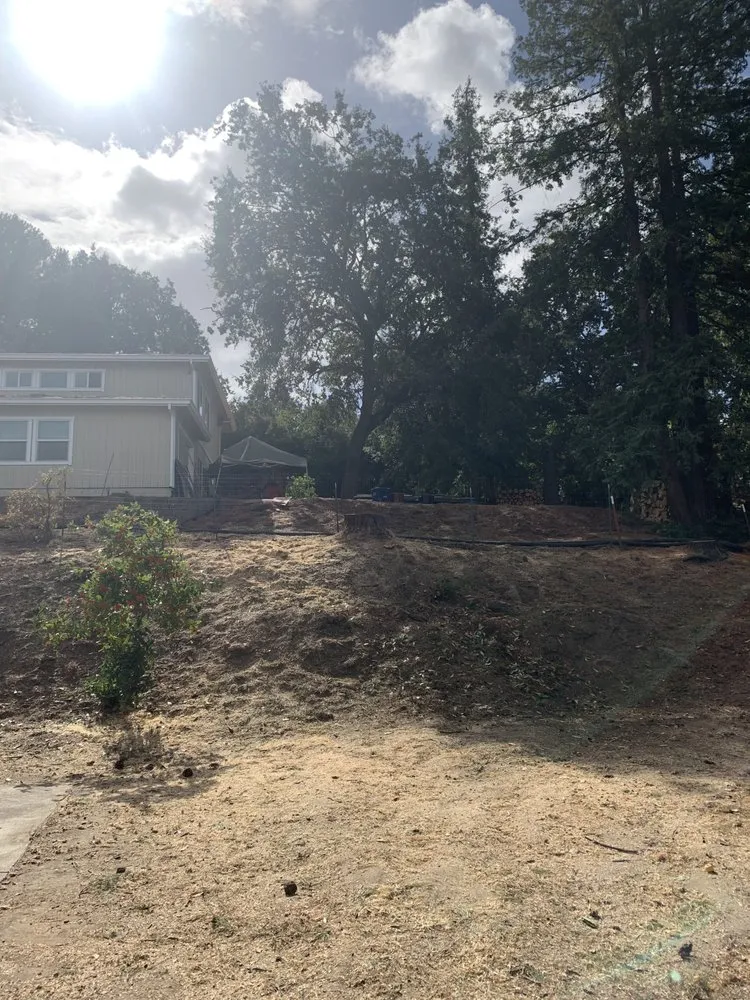 Expert landscaping services in Adairsville, GA - Professional Tree Trimming & Removal