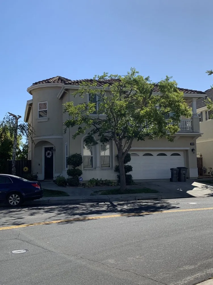 Reliable yard cleanup service experts serving Adairsville, GA - Professional Tree Trimming & Removal