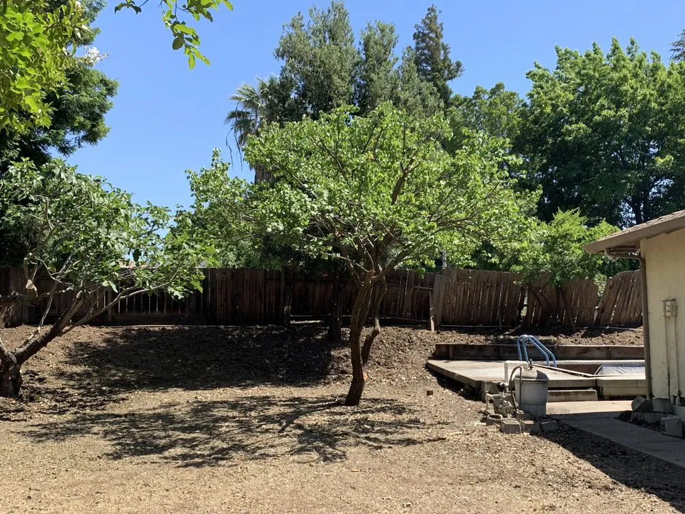 Professional landscape design in Adairsville, GA - Professional Tree Trimming & Removal