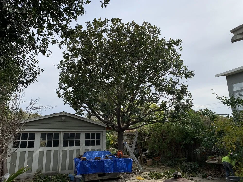 Affordable residential landscaping in Adairsville, GA - Professional Tree Trimming & Removal