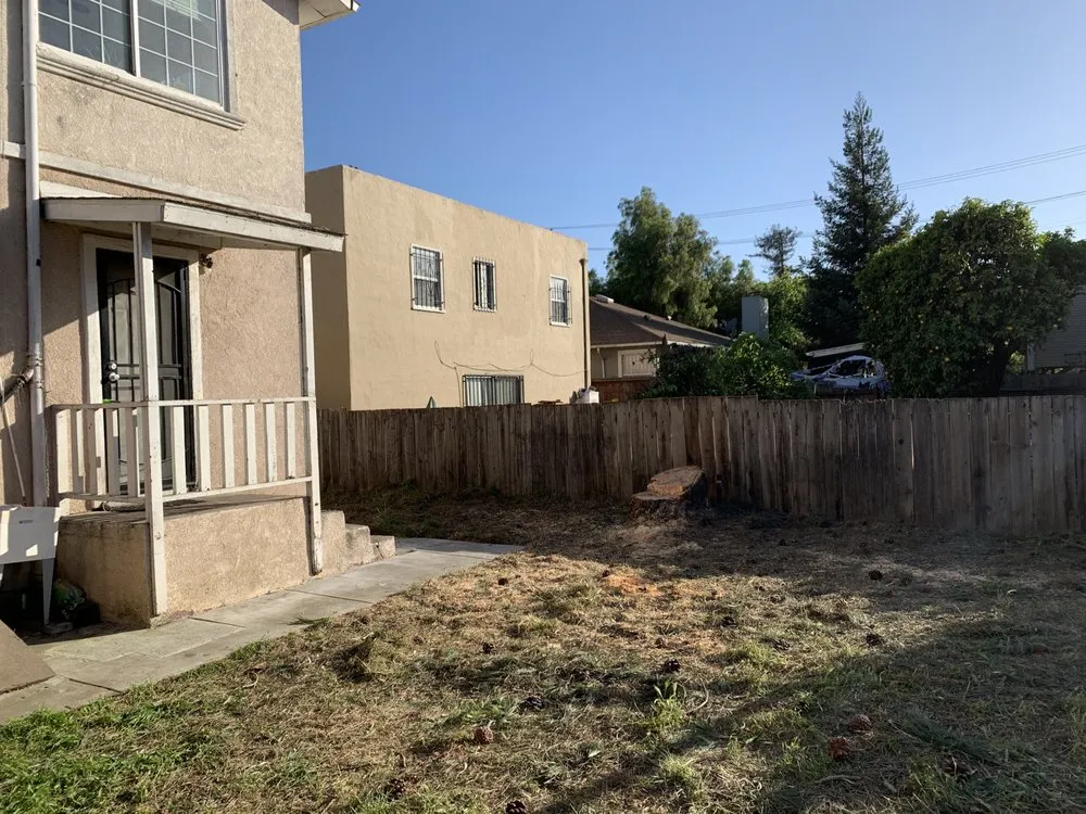 Trusted landscaping services in Adairsville, GA - Professional Tree Trimming & Removal