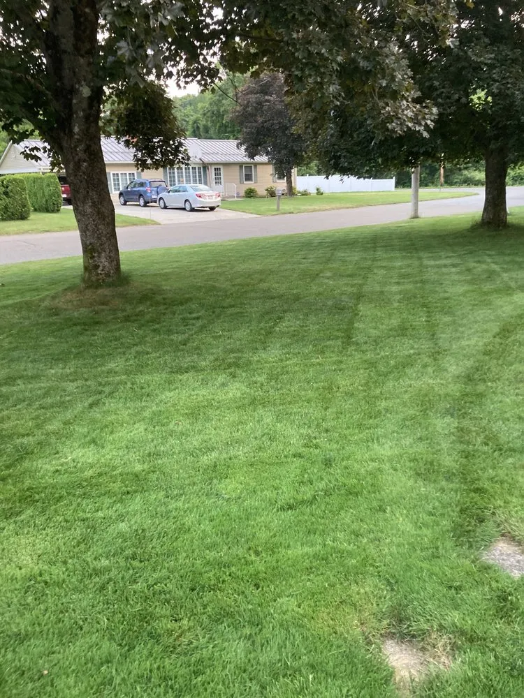 Affordable lawn care service for outdoor upgrades in Ludlow, MA by Professional Turf Services