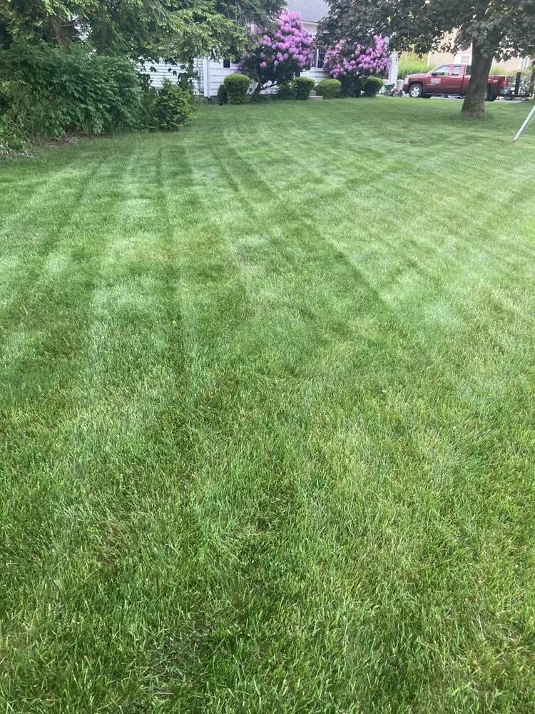 Affordable landscaping services experts serving Ludlow, MA - Professional Turf Services