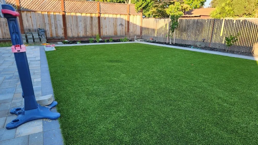 Custom yard cleanup service near you in Hayward, CA by Professional Landscaping