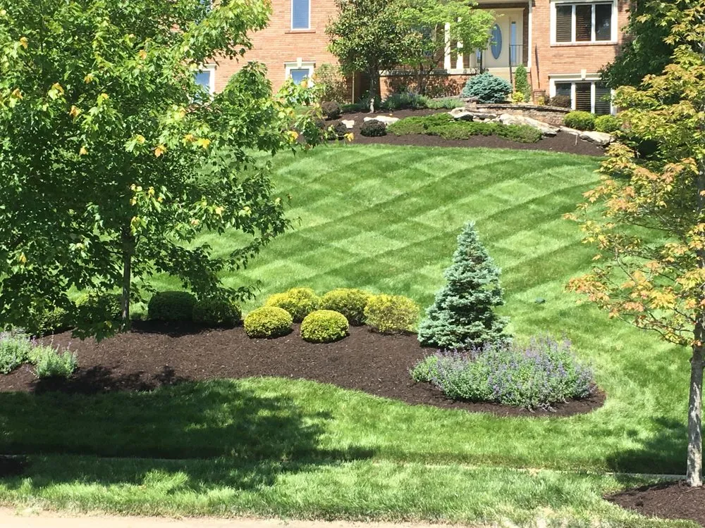 Affordable lawn care service for homes in House Springs, MO by Professionally Designed Services