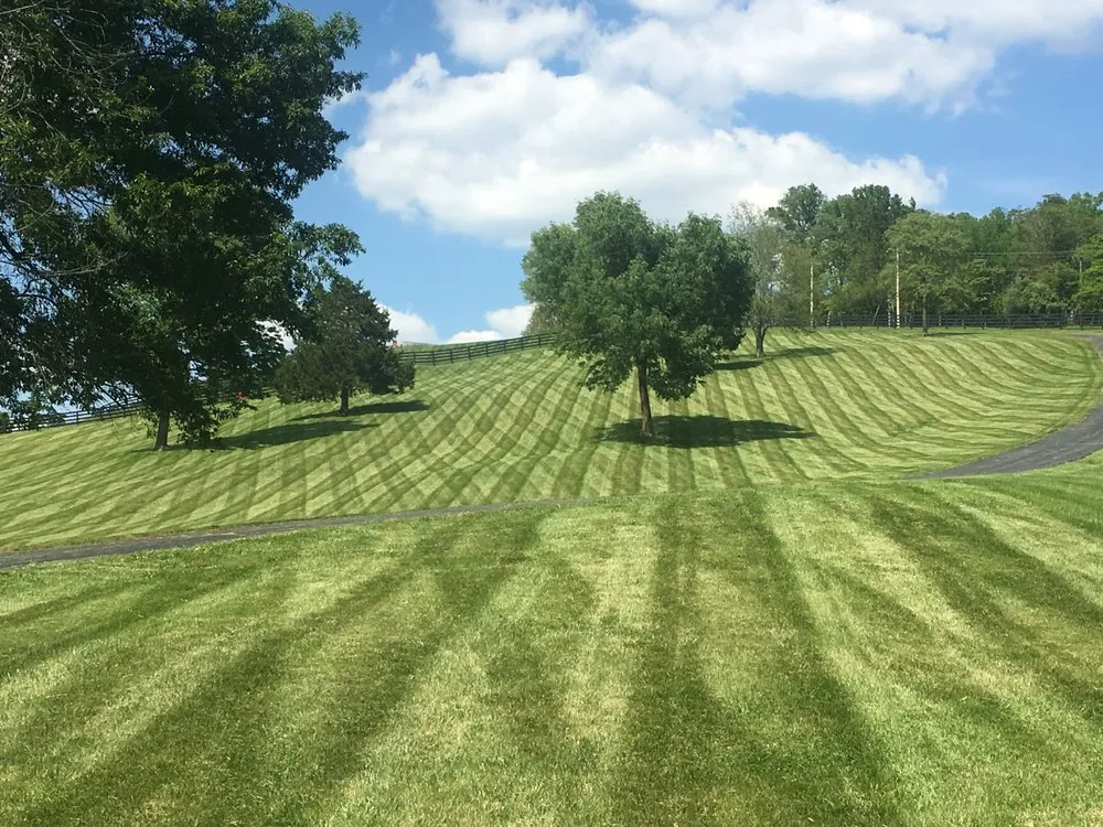Custom lawn mowing service in House Springs, MO - Professionally Designed Services