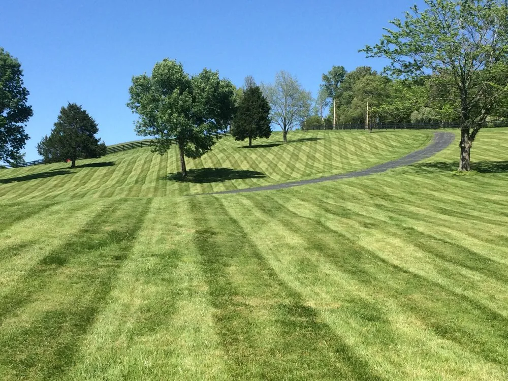 Affordable lawn care service for beautiful yards across House Springs, MO - Professionally Designed Services