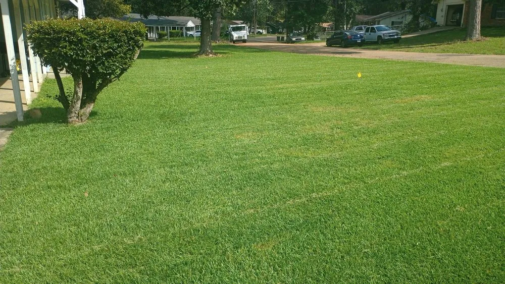 Top-rated outdoor landscaping for outdoor upgrades across Jackson, MS - ProffeSir's Cut Landscaping Services