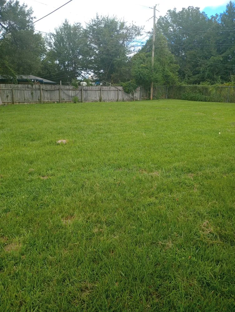 Professional yard cleanup service for residential properties in Jackson, MS by ProffeSir's Cut Landscaping Services