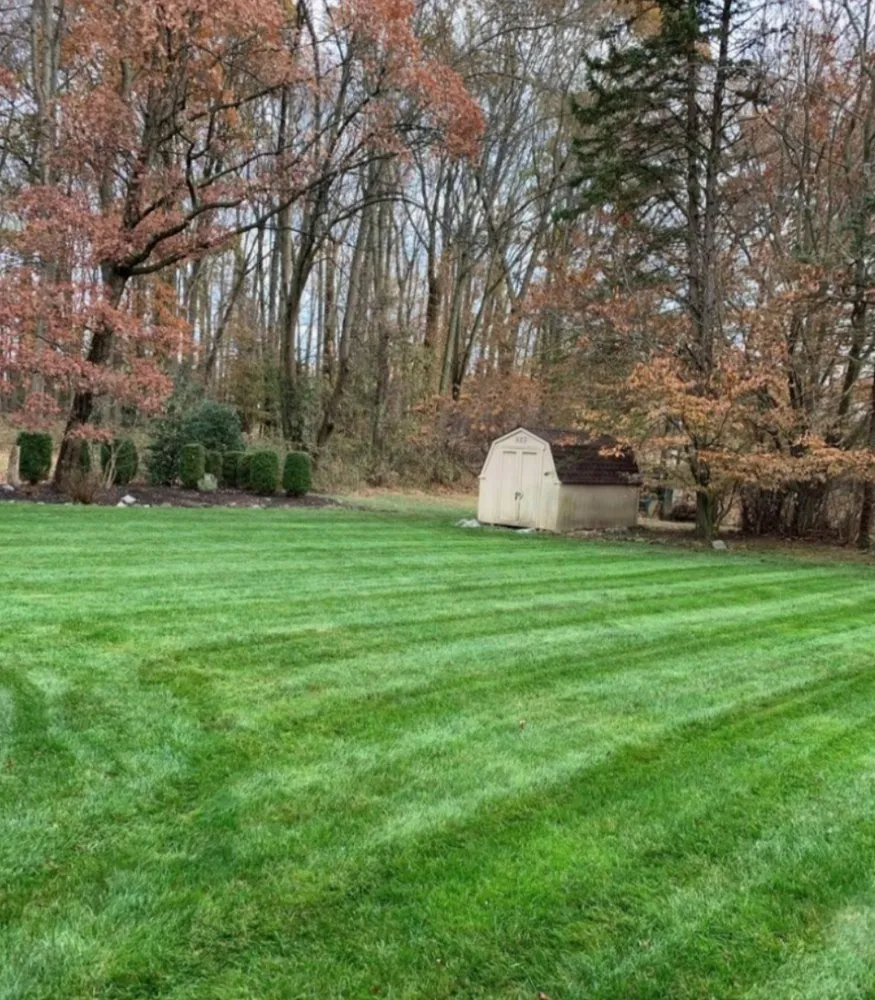 Local landscaping services in Gaffney, SC by Proficiency Home and Lawn service