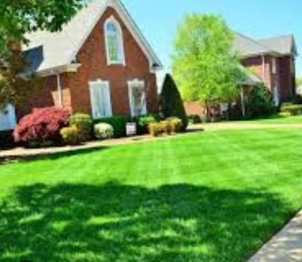 Expert landscape design for year-round maintenance in Gaffney, SC by Proficiency Home and Lawn service
