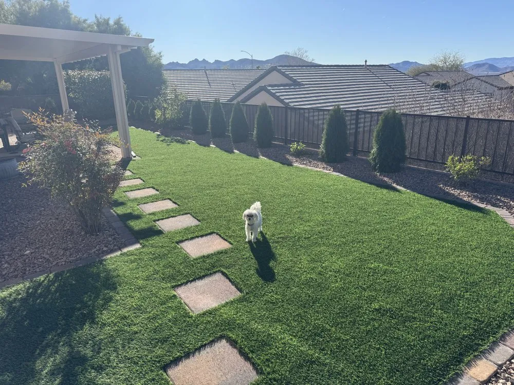 Affordable landscaping services experts serving Las Vegas, NV - Proficient Landscape