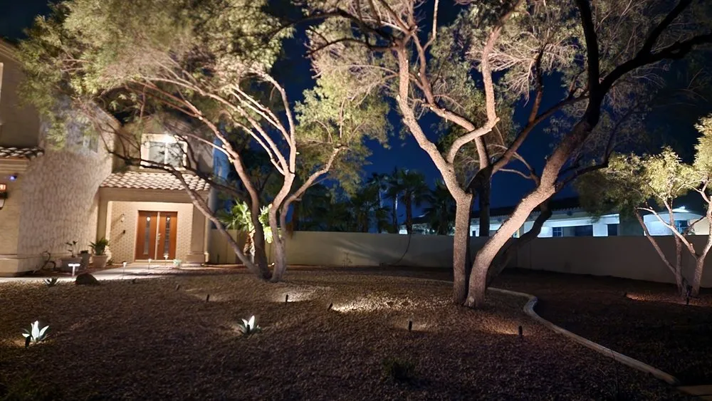 Custom yard cleanup service experts serving Las Vegas, NV - Proficient Landscape